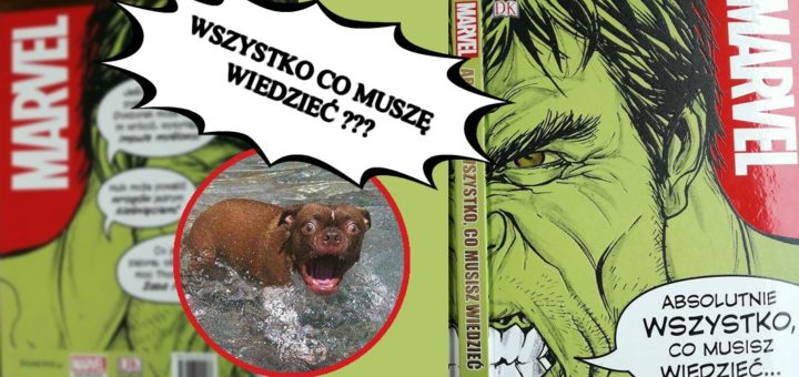 Marvel, Absolutnie WSZYSTKO, co musisz wiedzieć