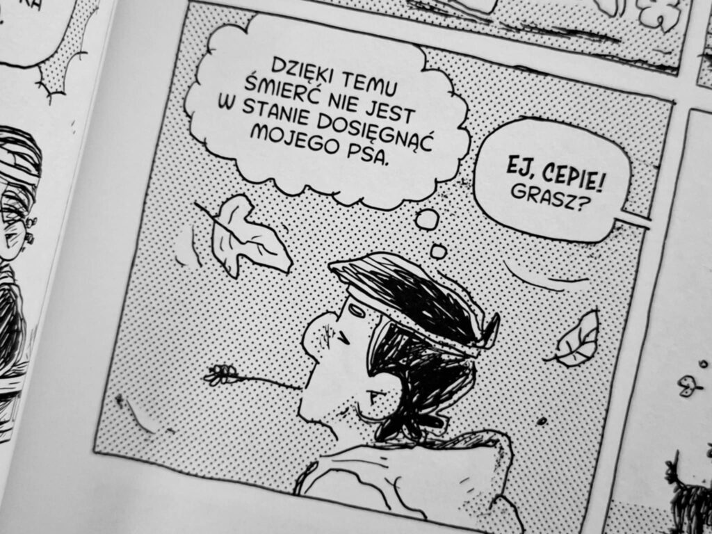 Sezon spadających gwiazd