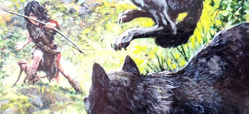 Thorgal. Louve. Skald