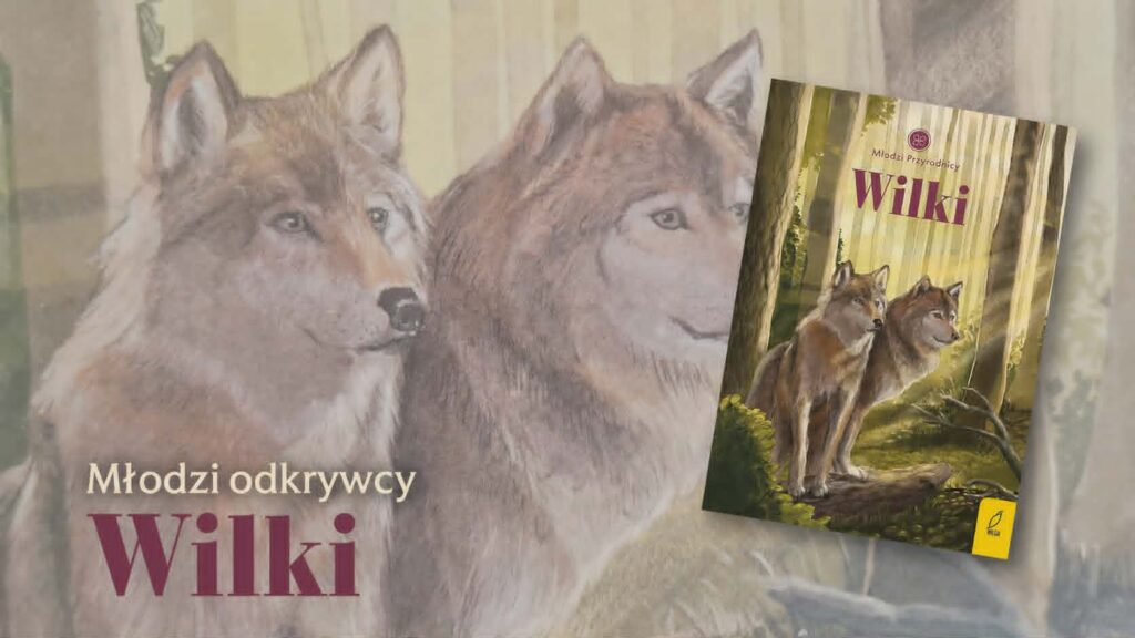 Młodzi odkrywcy. Wilki
