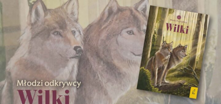Młodzi odkrywcy. Wilki